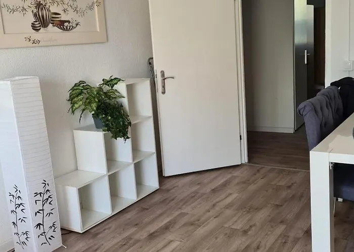 Moderne Handwerker Und Monteur Wohnung 165 Magdeburg